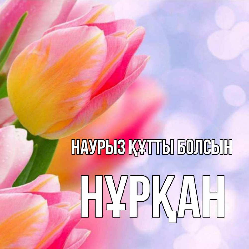 Күн сайын ашық хат с именем, Нұрқан Наурыз құтты болсын тюльпаны 2 Онлайн тегін жүктеп алу тілектері бар керемет карта 