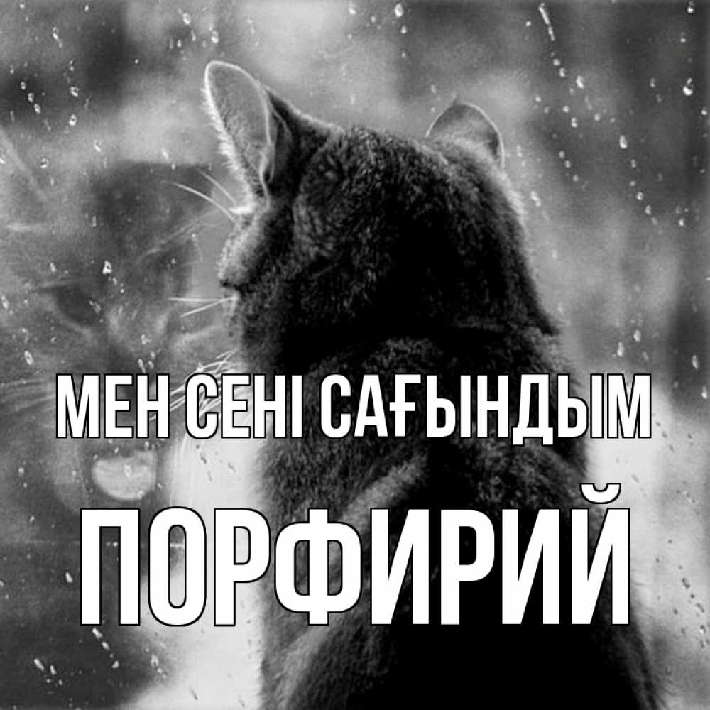 Күн сайын ашық хат с именем, Порфирий Мен сені сағындым скорее ко мне приходи 1 Онлайн тегін жүктеп алу тілектері бар керемет карта 