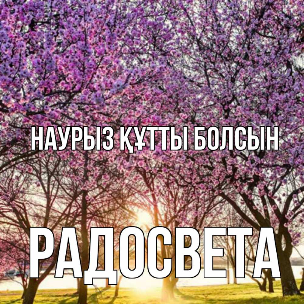 Күн сайын ашық хат с именем, Радосвета Наурыз құтты болсын наурыз Онлайн тегін жүктеп алу тілектері бар керемет карта 