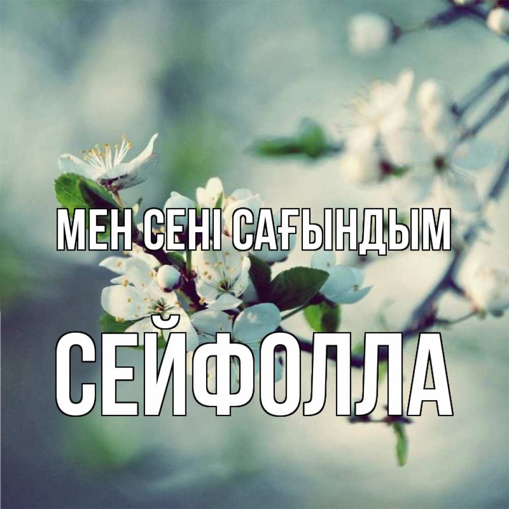 Күн сайын ашық хат с именем, СЕЙФОЛЛА Мен сені сағындым весна Онлайн тегін жүктеп алу тілектері бар керемет карта 