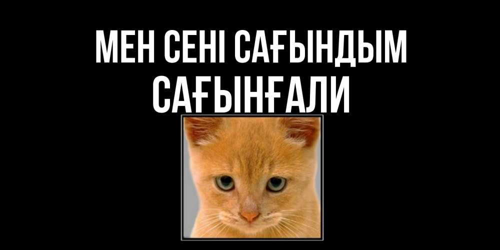 Күн сайын ашық хат с именем, Сағынғали Мен сені сағындым открытки рыжий котенок скучает по тебе Онлайн тегін жүктеп алу тілектері бар керемет карта 