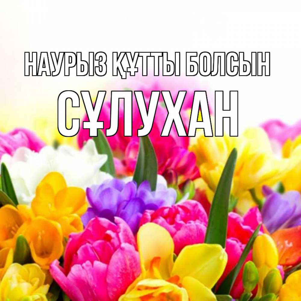 Күн сайын ашық хат с именем, СҰЛУХАН Наурыз құтты болсын тюльпаны Онлайн тегін жүктеп алу тілектері бар керемет карта 