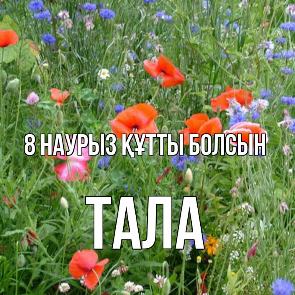 Күн сайын ашық хат с именем, Тала 8 наурыз құтты болсын международный женский день 4 Онлайн тегін жүктеп алу тілектері бар керемет карта 