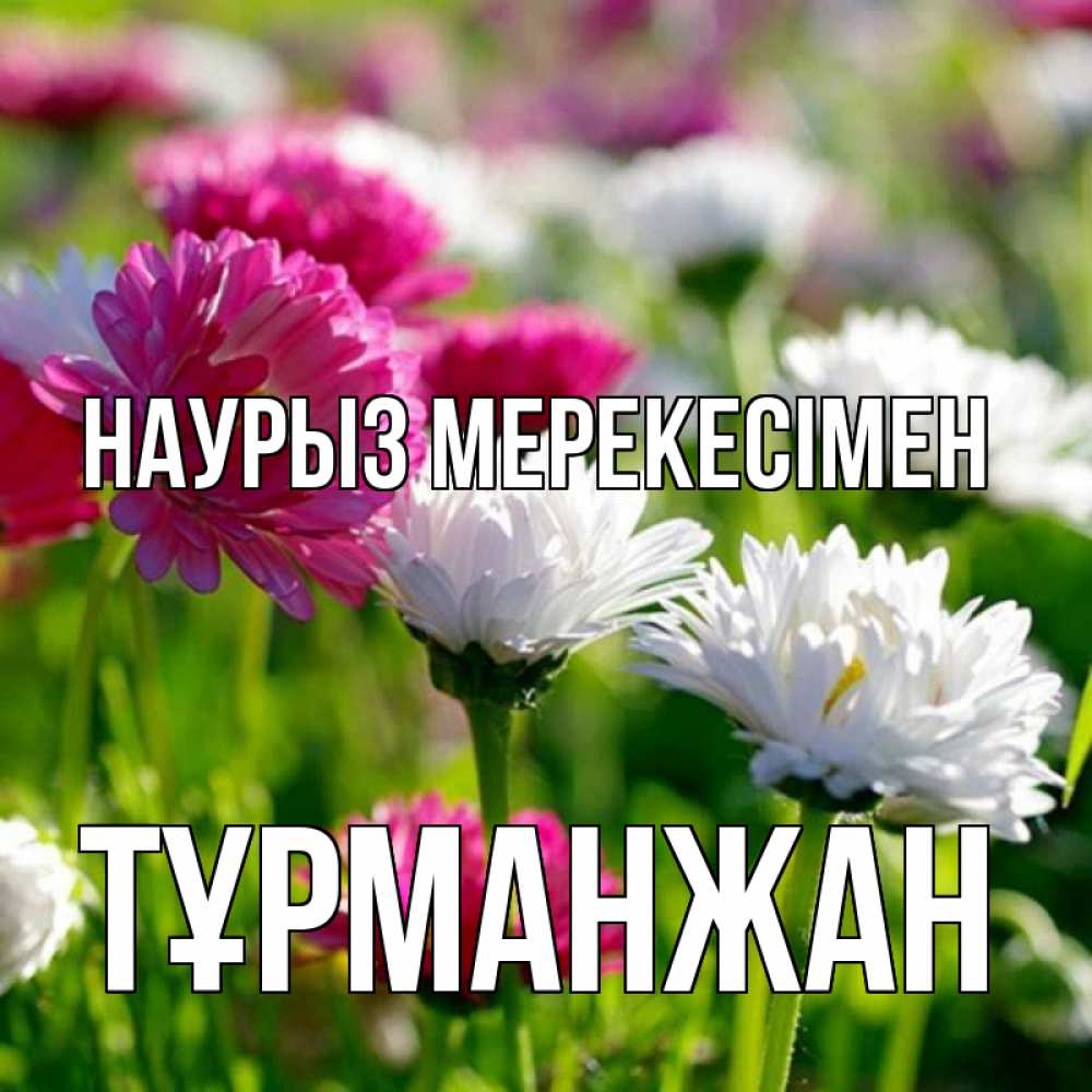 Күн сайын ашық хат с именем, ТҰРМАНЖАН Наурыз мерекесімен праздник весны наурыз красота Онлайн тегін жүктеп алу тілектері бар керемет карта 