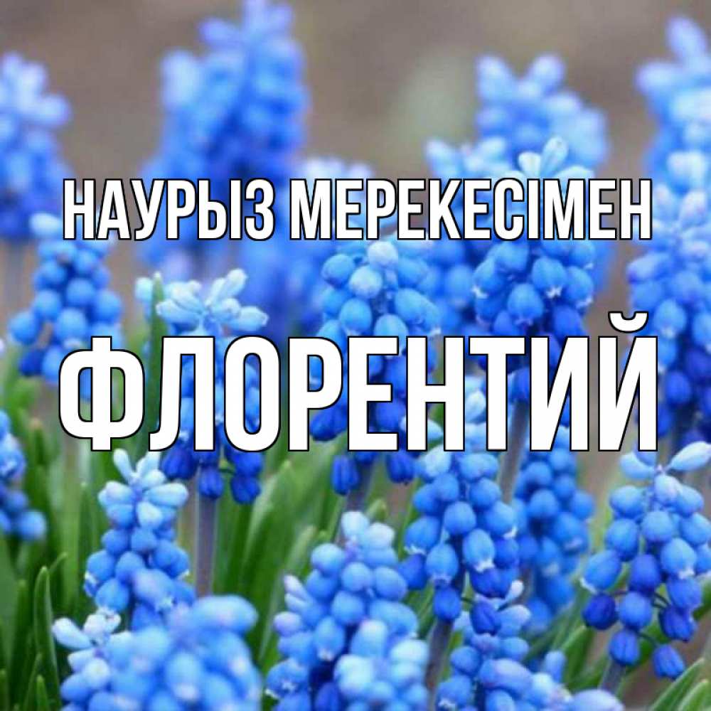Күн сайын ашық хат с именем, Флорентий Наурыз мерекесімен Поздравительная открытка для женщин с цветами на праздничную дату Онлайн тегін жүктеп алу тілектері бар керемет карта 