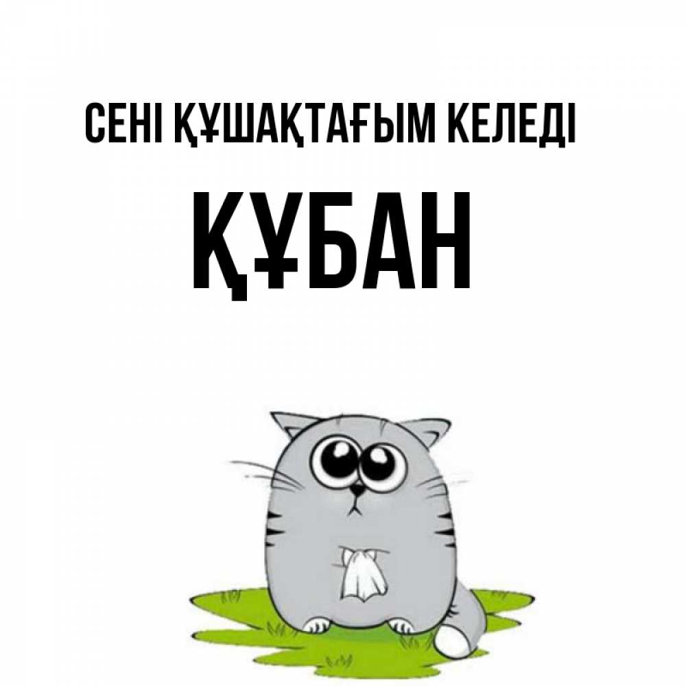 Күн сайын ашық хат с именем, ҚҰБАН сені құшақтағым келеді котик теребит платочек сидя на травке Онлайн тегін жүктеп алу тілектері бар керемет карта 
