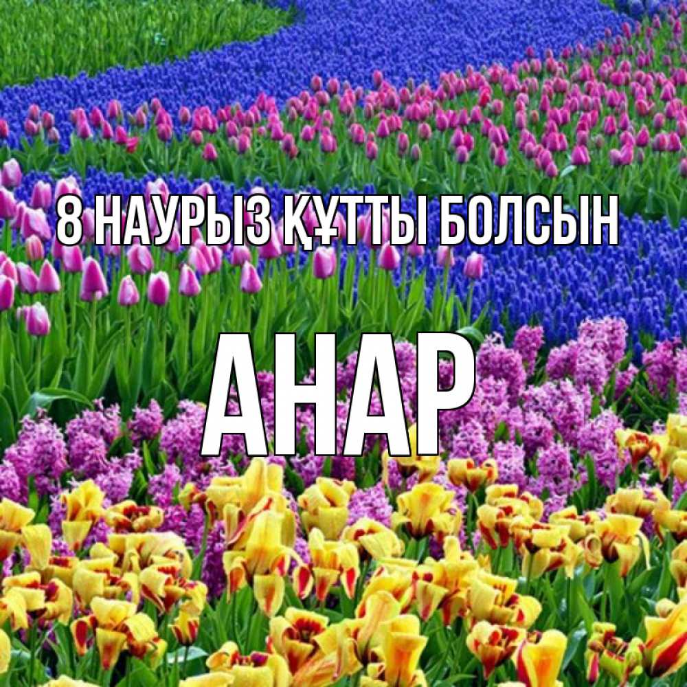 Күн сайын ашық хат с именем, АНАР 8 наурыз құтты болсын цветы Онлайн тегін жүктеп алу тілектері бар керемет карта 