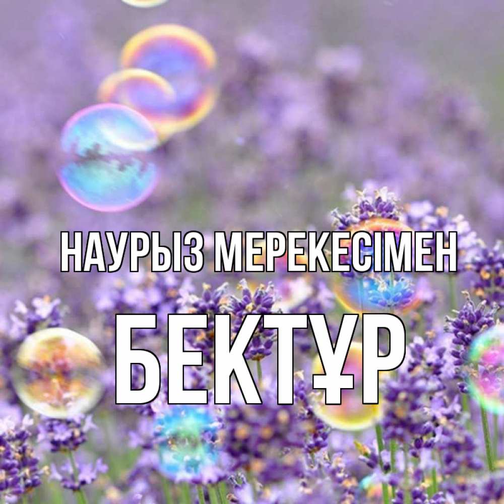 Күн сайын ашық хат с именем, Бектұр Наурыз мерекесімен цветы Онлайн тегін жүктеп алу тілектері бар керемет карта 