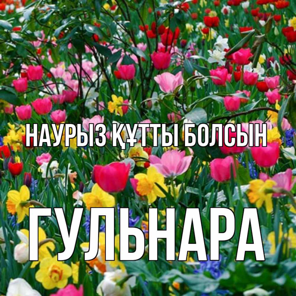 Күн сайын ашық хат с именем, Гульнара Наурыз құтты болсын с наурызом поздравления для женщины Онлайн тегін жүктеп алу тілектері бар керемет карта 