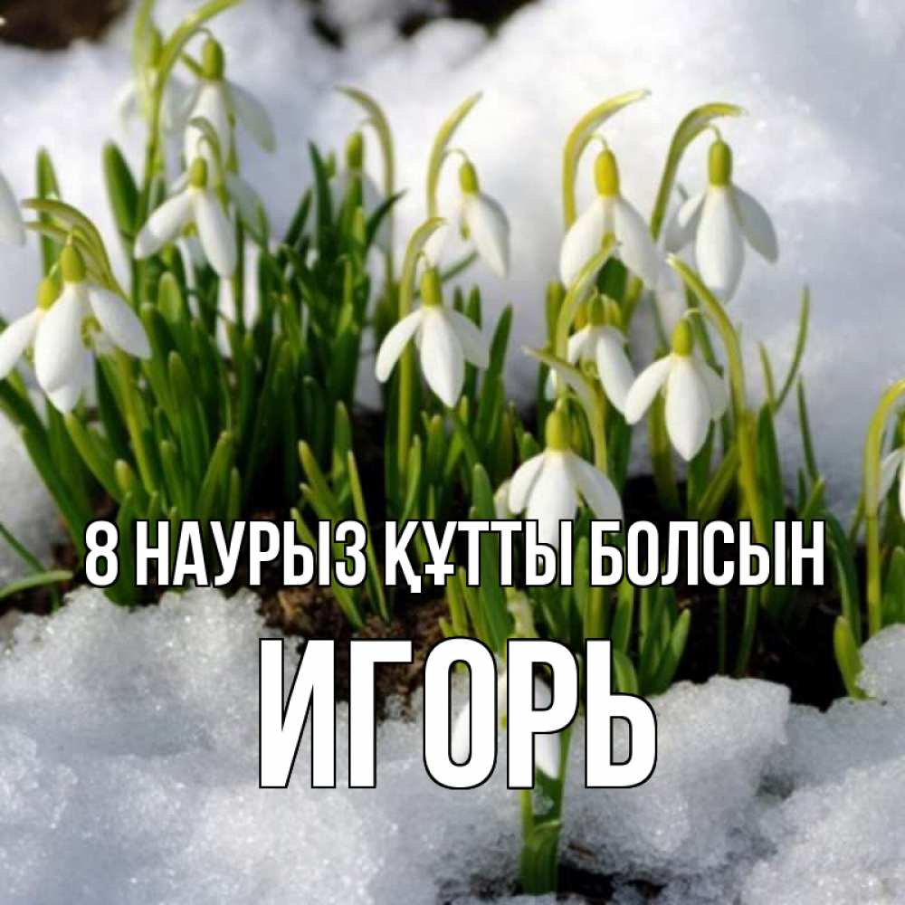 Күн сайын ашық хат с именем, Игорь 8 наурыз құтты болсын цветы весенние Онлайн тегін жүктеп алу тілектері бар керемет карта 