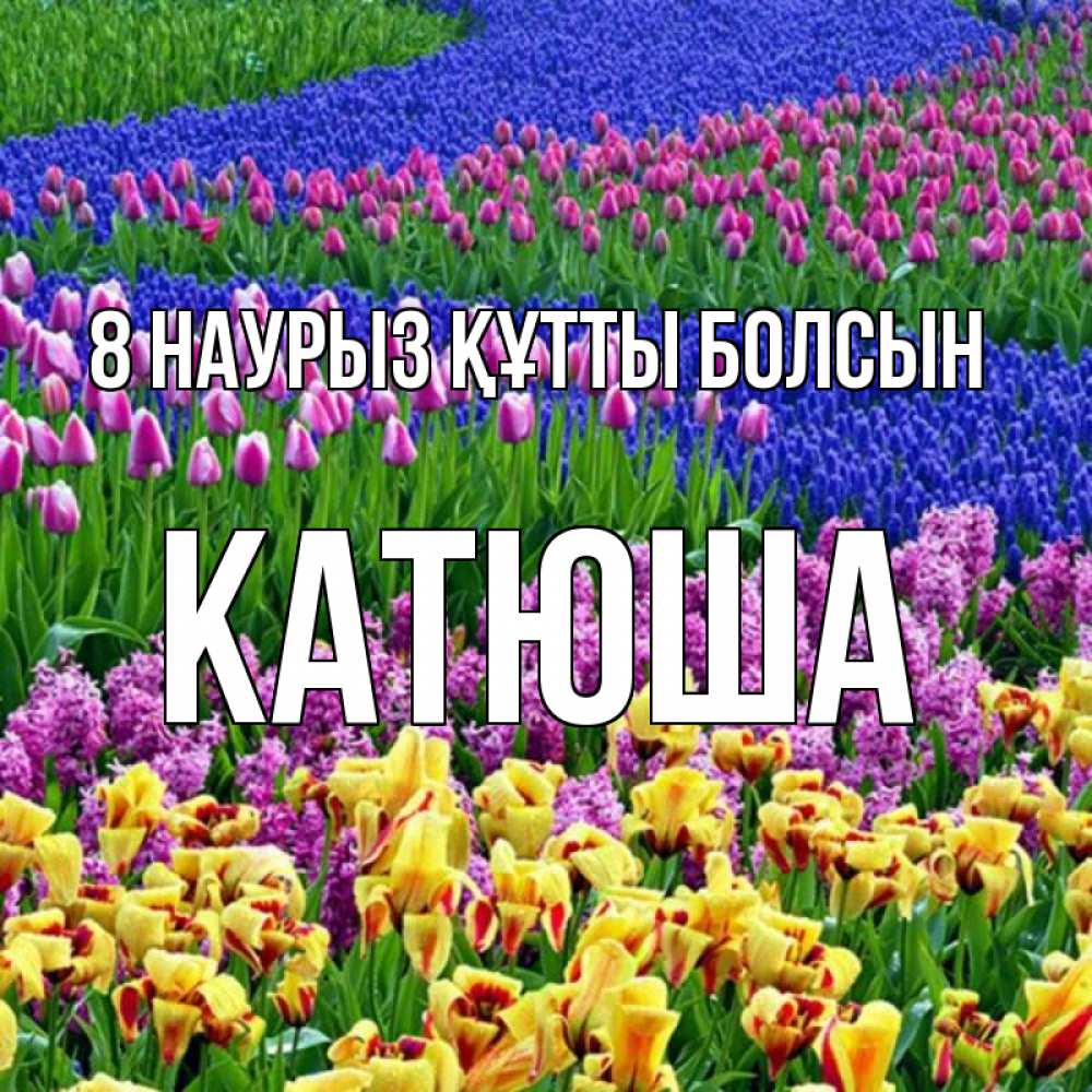 Күн сайын ашық хат с именем, Катюша 8 наурыз құтты болсын цветы Онлайн тегін жүктеп алу тілектері бар керемет карта 