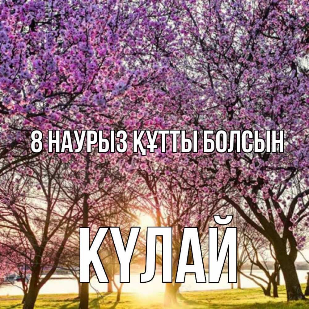 Күн сайын ашық хат с именем, КҮЛАЙ 8 наурыз құтты болсын международный женский день Онлайн тегін жүктеп алу тілектері бар керемет карта 