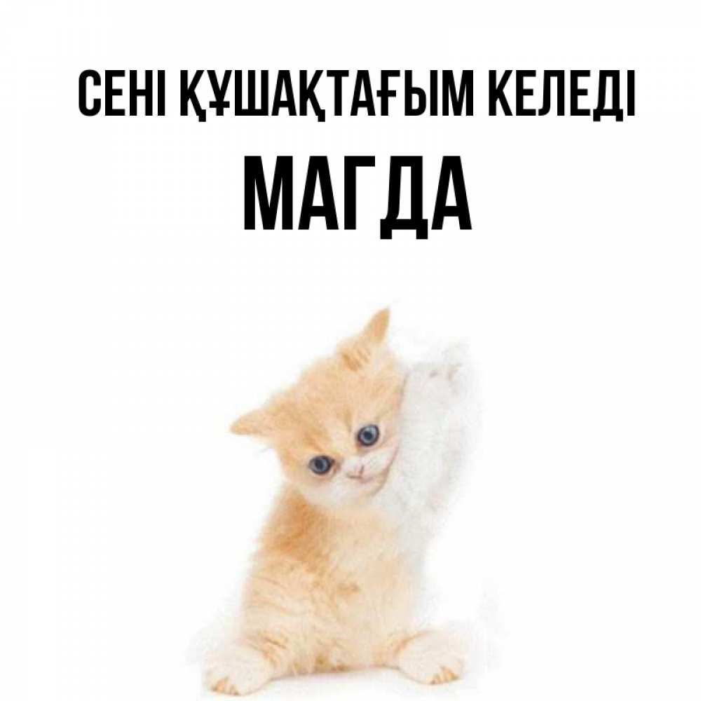 Күн сайын ашық хат с именем, Магда сені құшақтағым келеді я хочу очень скорее обнимаешек Онлайн тегін жүктеп алу тілектері бар керемет карта 