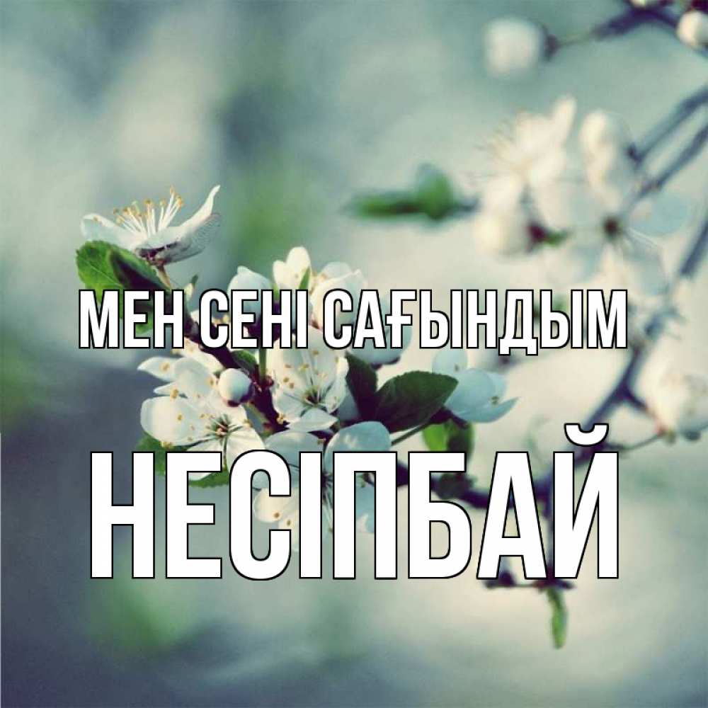Күн сайын ашық хат с именем, НЕСІПБАЙ Мен сені сағындым весна Онлайн тегін жүктеп алу тілектері бар керемет карта 