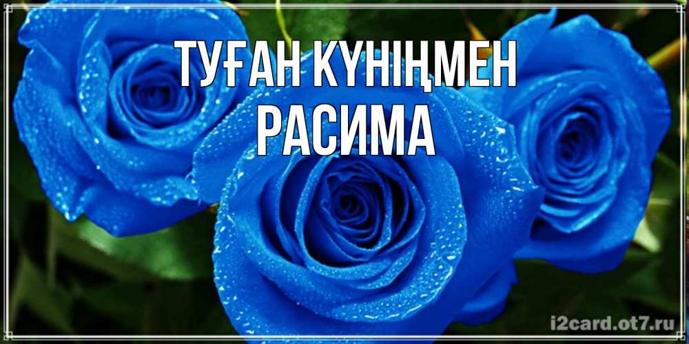 Күн сайын ашық хат с именем, РАСИМА Туған күніңмен розы с синим цветом Онлайн тегін жүктеп алу тілектері бар керемет карта 