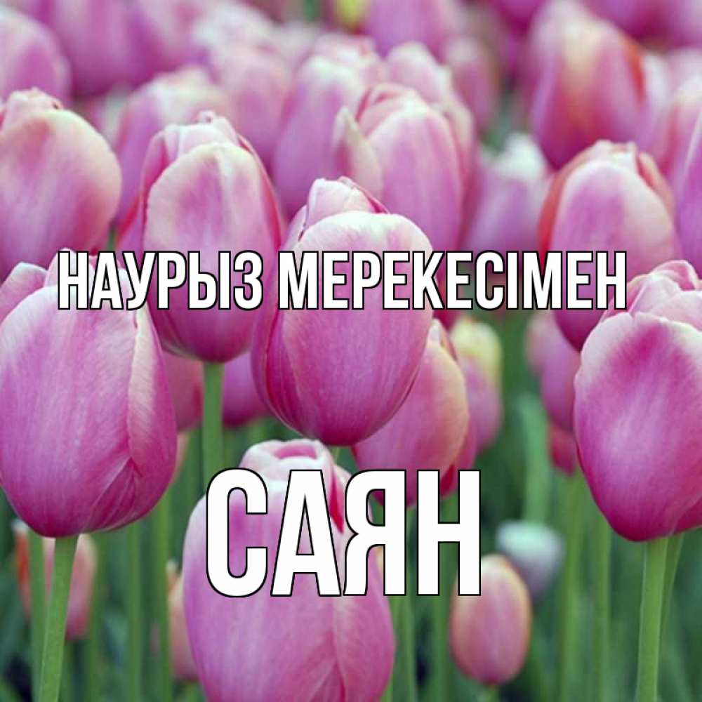 Күн сайын ашық хат с именем, САЯН Наурыз мерекесімен праздник весны наурыз 69 Онлайн тегін жүктеп алу тілектері бар керемет карта 