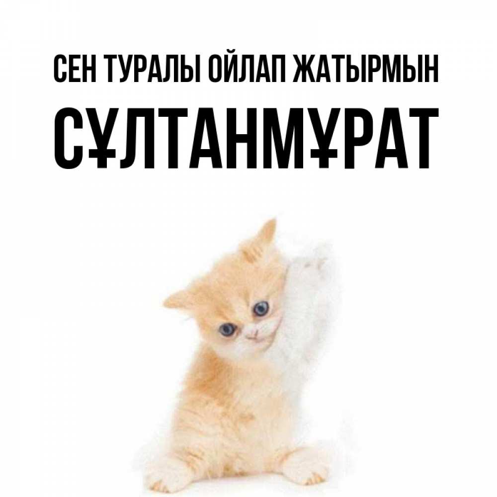 Күн сайын ашық хат с именем, СҰЛТАНМҰРАТ Сен туралы ойлап жатырмын зверушки и милота Онлайн тегін жүктеп алу тілектері бар керемет карта 