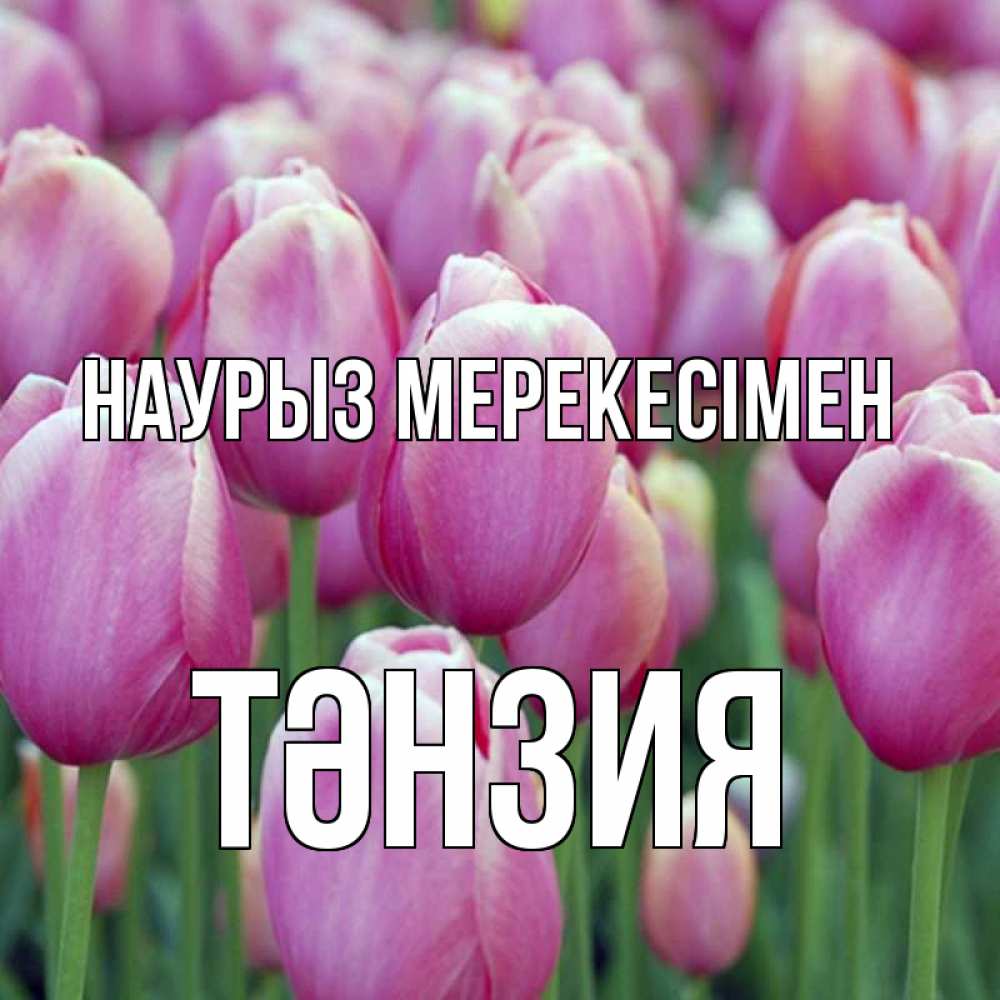 Күн сайын ашық хат с именем, ТӘНЗИЯ Наурыз мерекесімен праздник весны наурыз 69 Онлайн тегін жүктеп алу тілектері бар керемет карта 