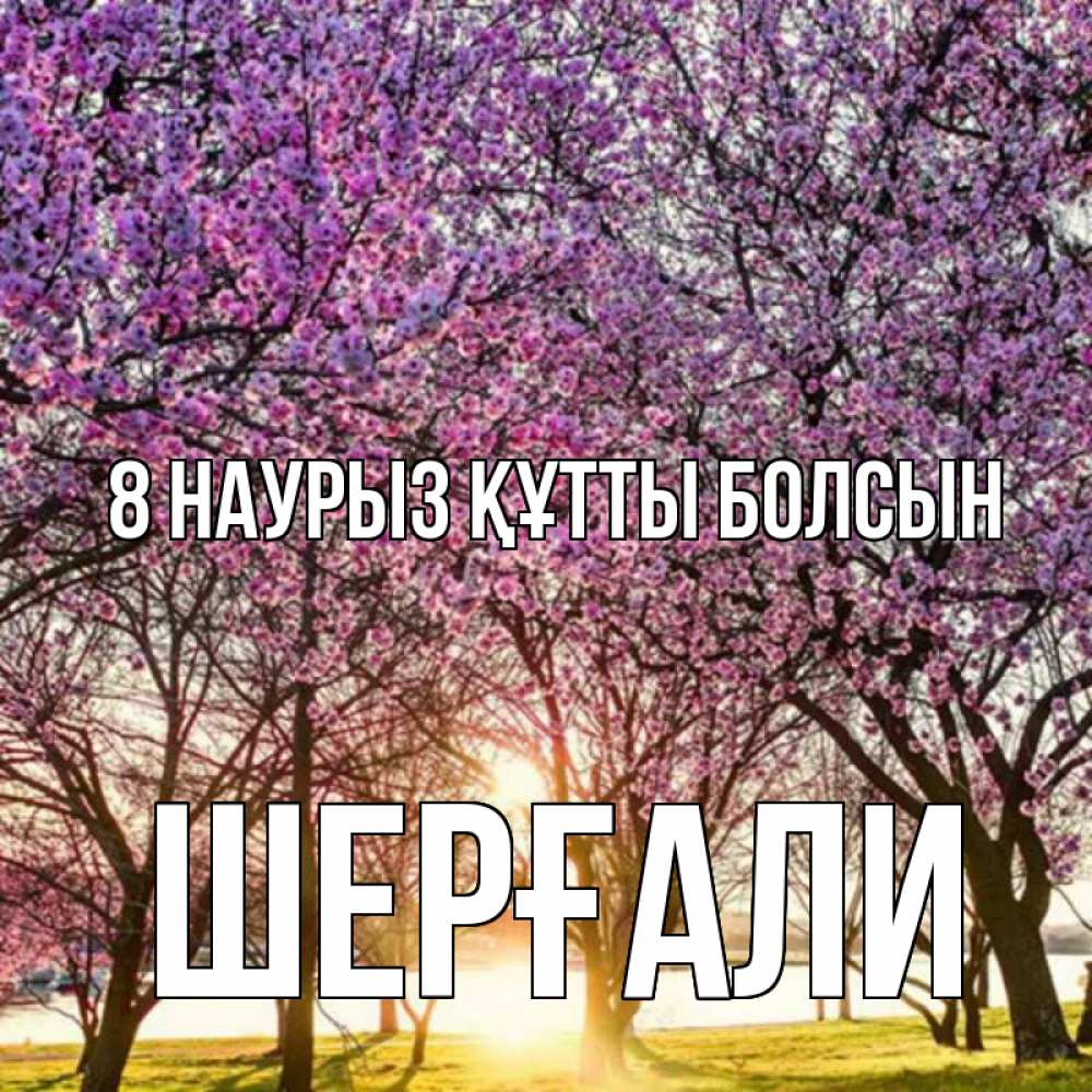 Күн сайын ашық хат с именем, ШЕРҒАЛИ 8 наурыз құтты болсын международный женский день Онлайн тегін жүктеп алу тілектері бар керемет карта 