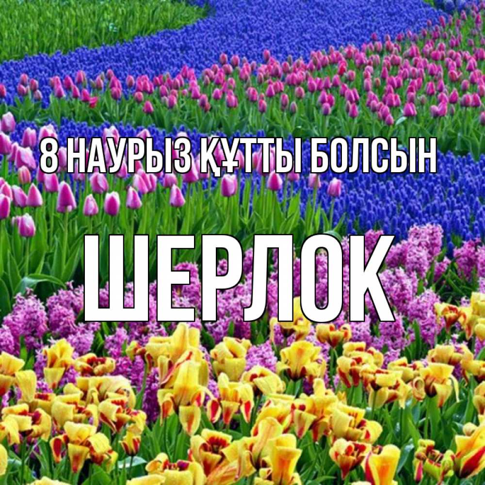 Күн сайын ашық хат с именем, Шерлок 8 наурыз құтты болсын цветы Онлайн тегін жүктеп алу тілектері бар керемет карта 