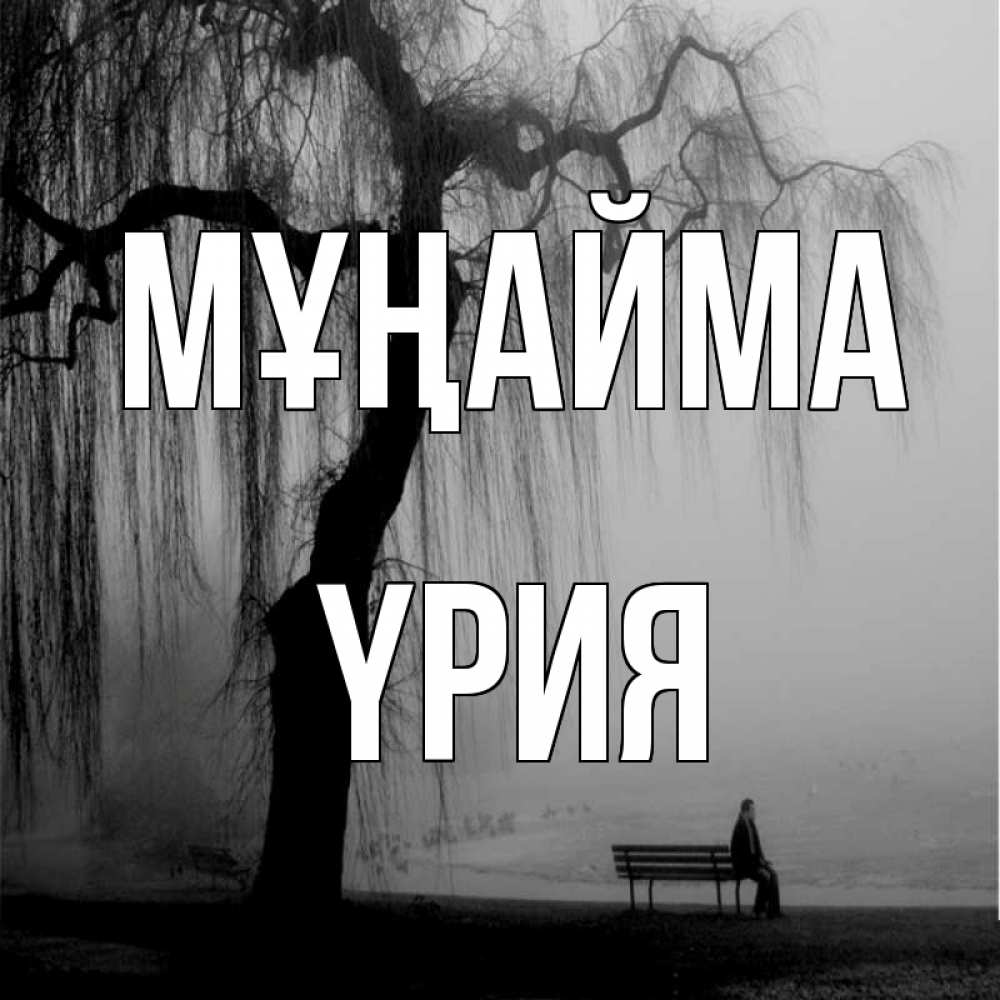 Күн сайын ашық хат с именем, ҮРИЯ Мұңайма висящие ветки дерева и лавочка под деревом Онлайн тегін жүктеп алу тілектері бар керемет карта 