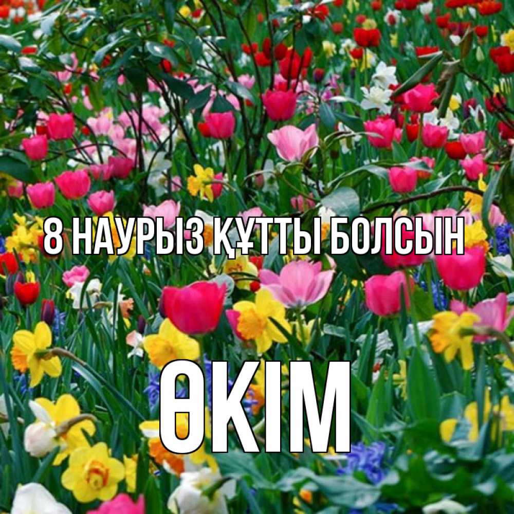 Күн сайын ашық хат с именем, ӨКІМ 8 наурыз құтты болсын с международным женским днем поздравления для женщины Онлайн тегін жүктеп алу тілектері бар керемет карта 