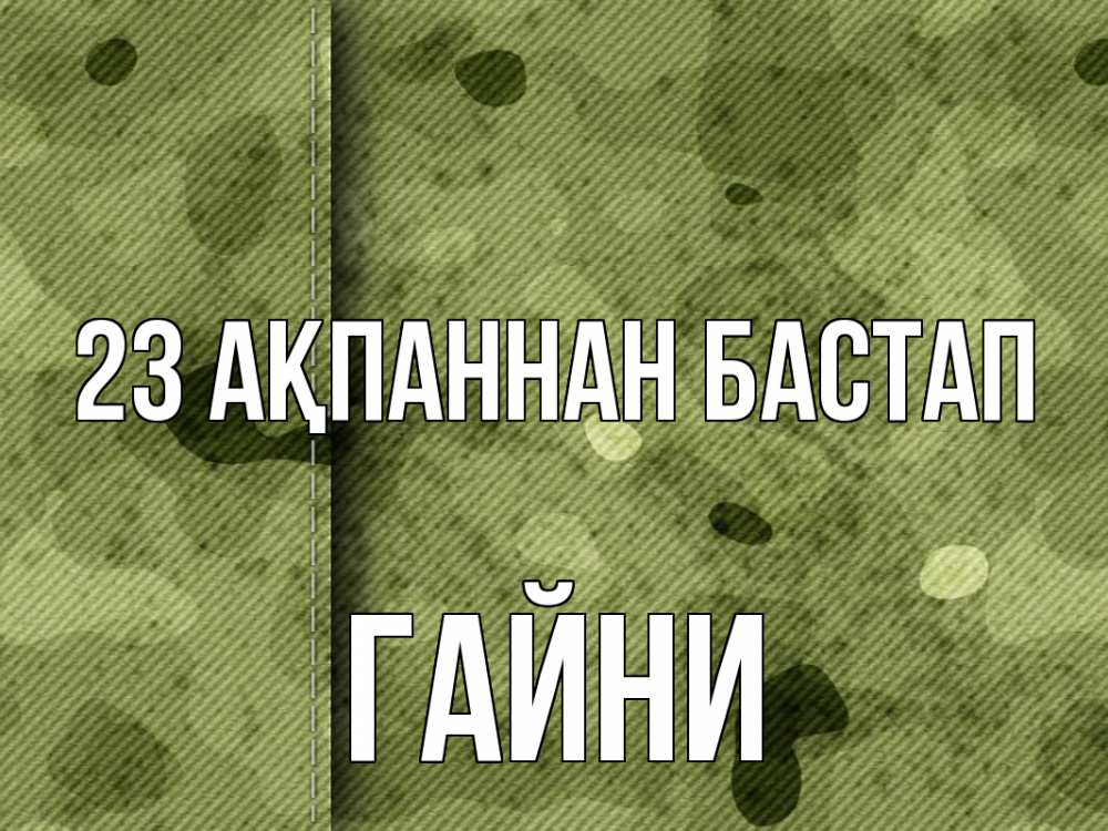Картинка 23 ақпаннан бастап, ГАЙНИ