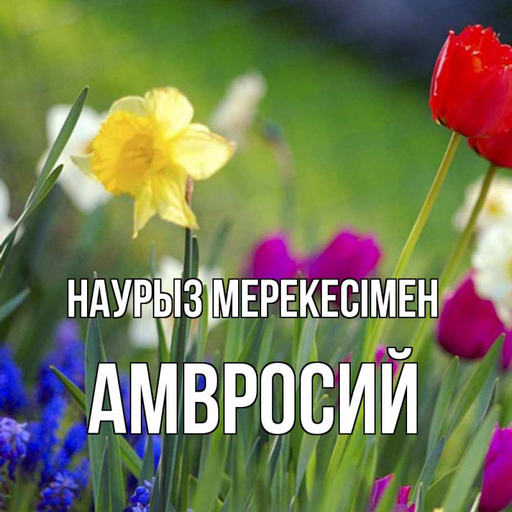 Күн сайын ашық хат с именем, Амвросий Наурыз мерекесімен праздник весны наурыз 3 Онлайн тегін жүктеп алу тілектері бар керемет карта 
