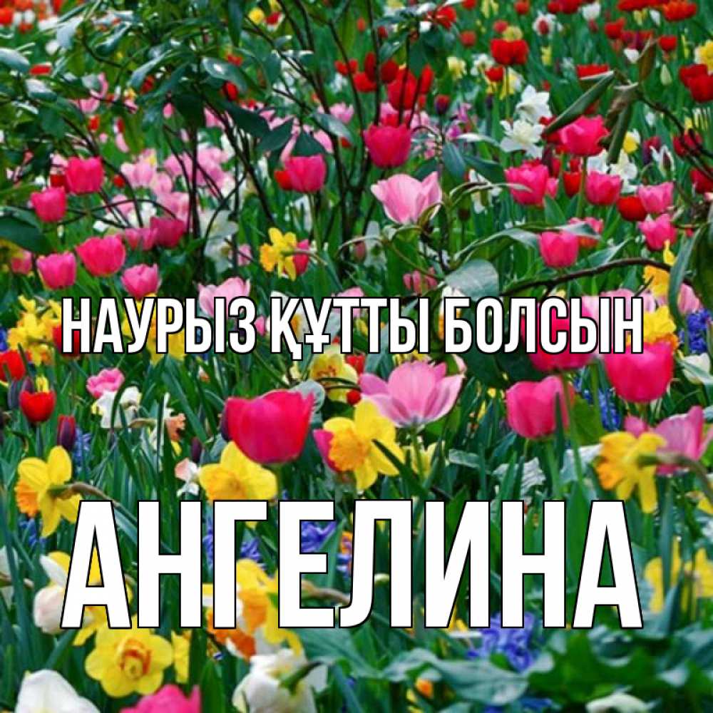 Күн сайын ашық хат с именем, Ангелина Наурыз құтты болсын с наурызом поздравления для женщины Онлайн тегін жүктеп алу тілектері бар керемет карта 