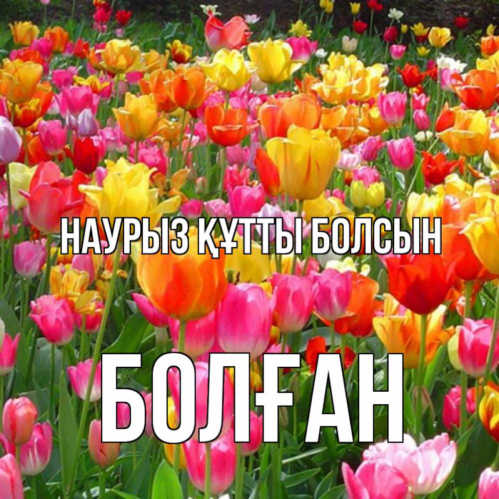 Күн сайын ашық хат с именем, Болған Наурыз құтты болсын на наурыз  ура ура Онлайн тегін жүктеп алу тілектері бар керемет карта 