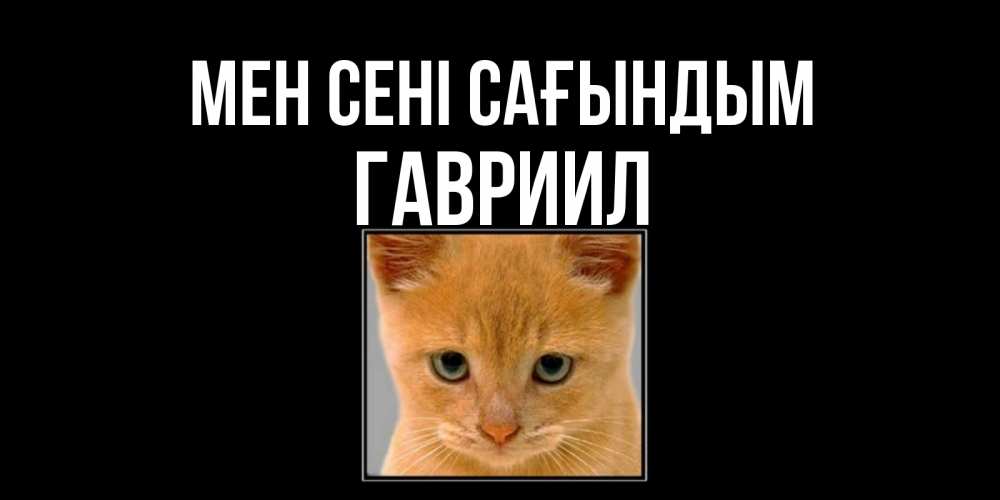 Күн сайын ашық хат с именем, Гавриил Мен сені сағындым открытки рыжий котенок скучает по тебе Онлайн тегін жүктеп алу тілектері бар керемет карта 