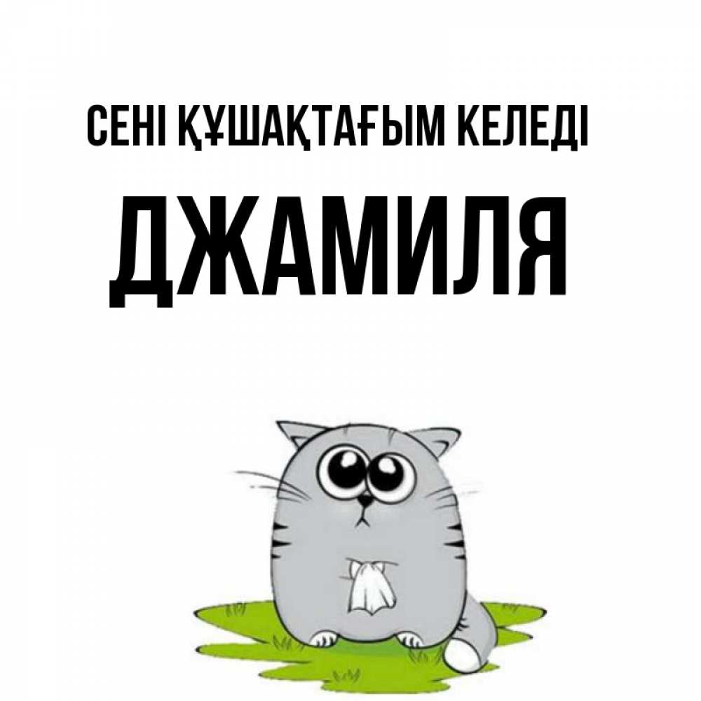 Күн сайын ашық хат с именем, Джамиля сені құшақтағым келеді котик теребит платочек сидя на травке Онлайн тегін жүктеп алу тілектері бар керемет карта 