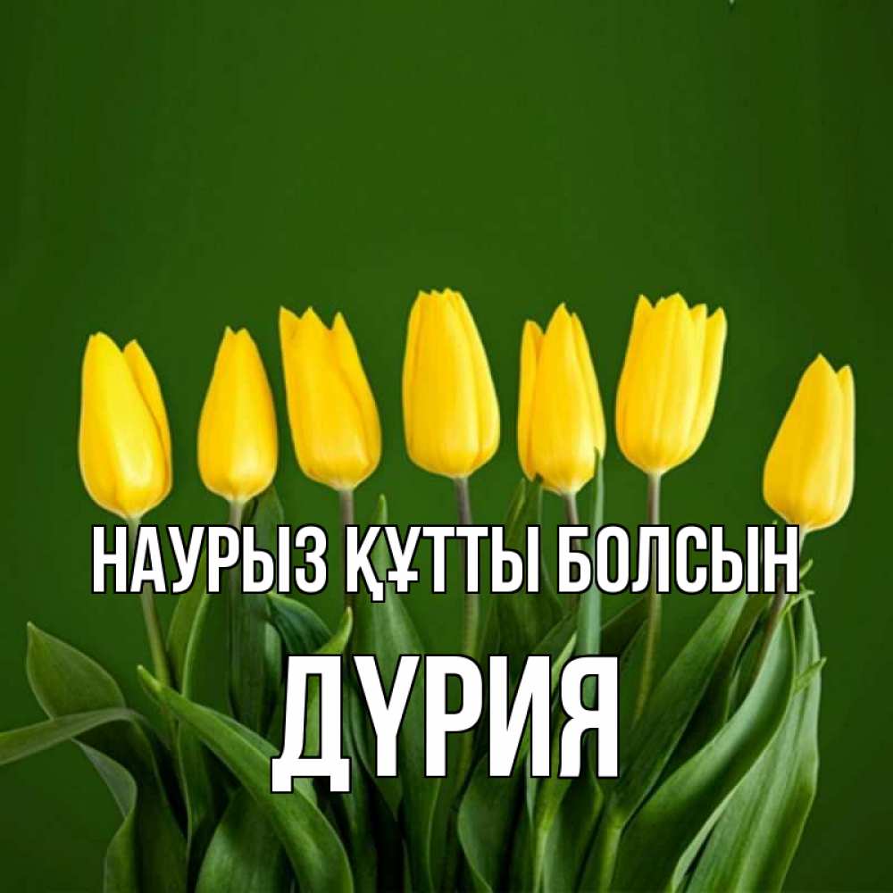 Күн сайын ашық хат с именем, ДҮРИЯ Наурыз құтты болсын желтого цвета 3 Онлайн тегін жүктеп алу тілектері бар керемет карта 
