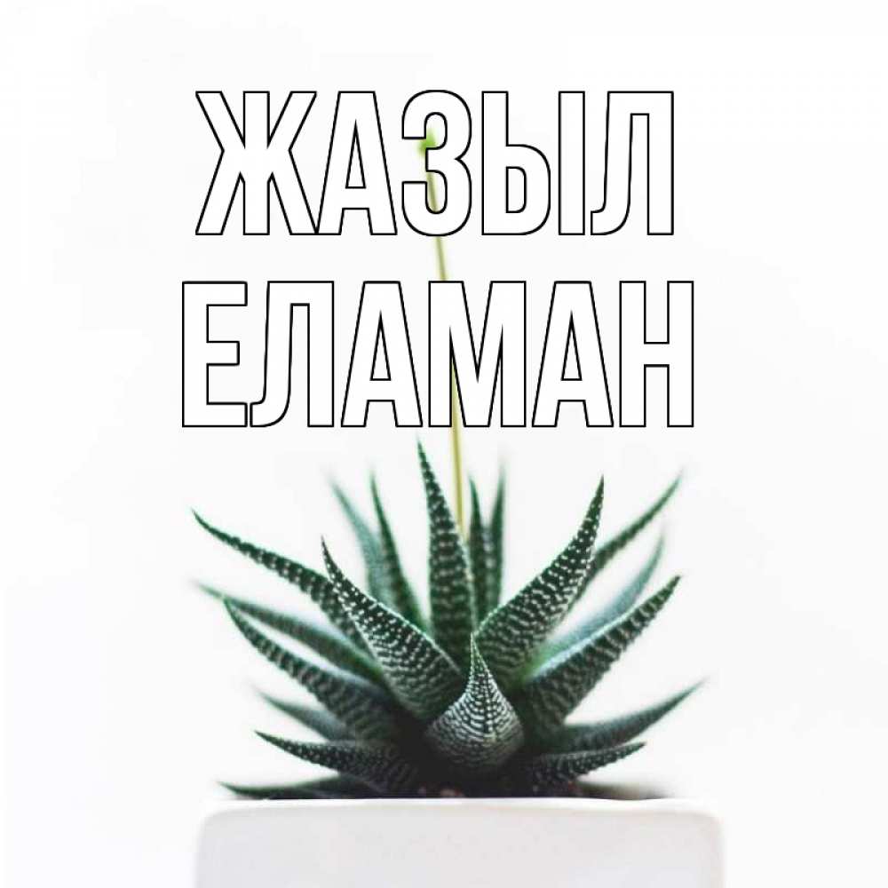 Күн сайын ашық хат с именем, Еламан Жазыл короче это непонятная колючка Онлайн тегін жүктеп алу тілектері бар керемет карта 