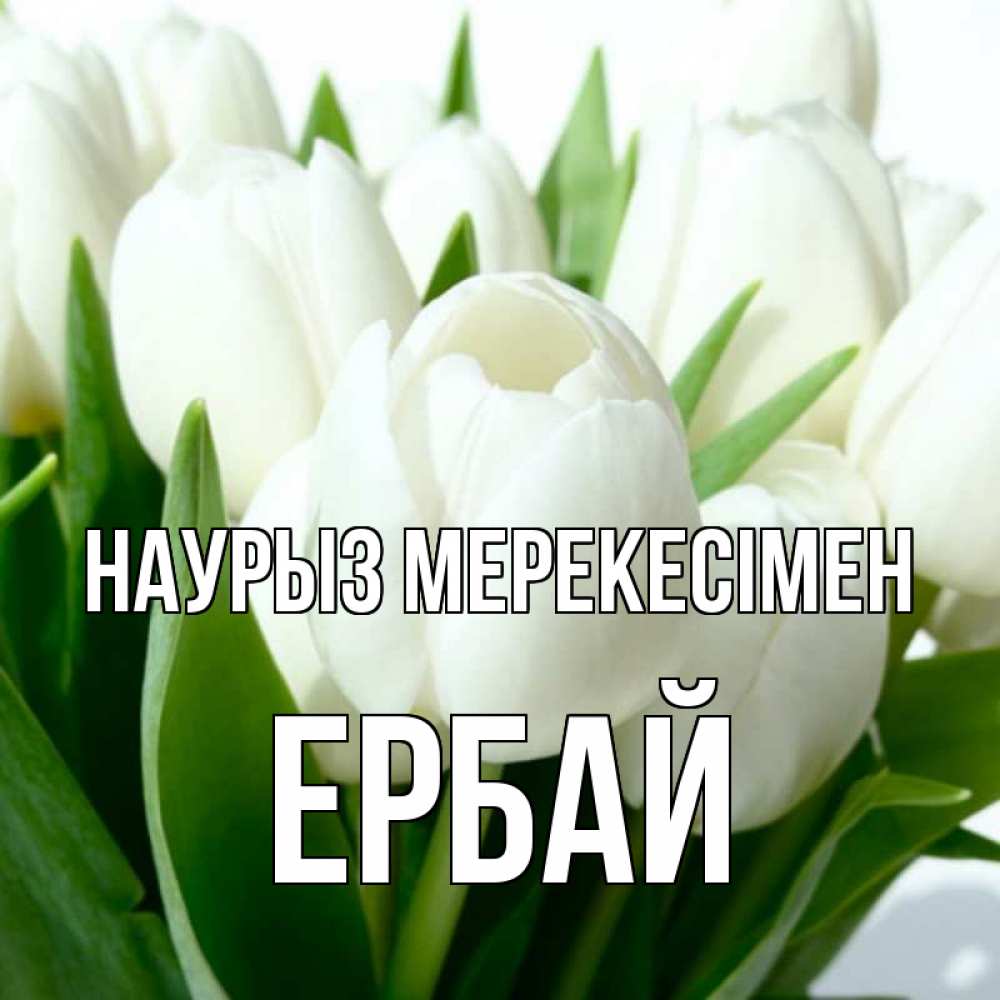 Күн сайын ашық хат с именем, Ербай Наурыз мерекесімен цветы Онлайн тегін жүктеп алу тілектері бар керемет карта 