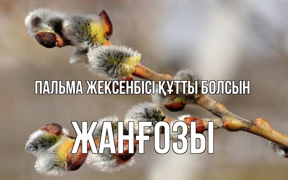 Күн сайын ашық хат с именем, Жанғозы Пальма жексенбісі құтты болсын Верба Онлайн тегін жүктеп алу тілектері бар керемет карта 