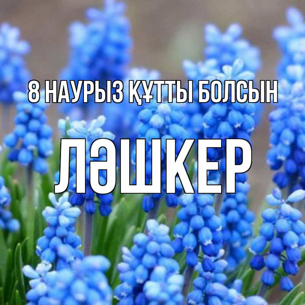 Күн сайын ашық хат с именем, ЛӘШКЕР 8 наурыз құтты болсын Поздравительная открытка для женщин с цветами на праздничную дату Онлайн тегін жүктеп алу тілектері бар керемет карта 