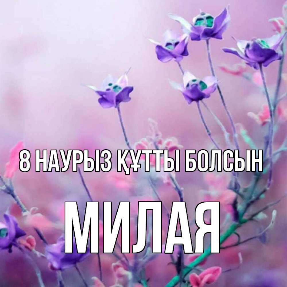 Күн сайын ашық хат с именем, Милая 8 наурыз құтты болсын международный женский день 2 Онлайн тегін жүктеп алу тілектері бар керемет карта 