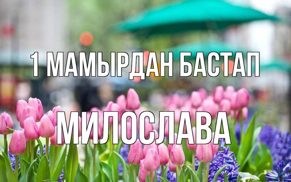 Күн сайын ашық хат с именем, Милослава 1 мамырдан бастап С 1 мая Онлайн тегін жүктеп алу тілектері бар керемет карта 