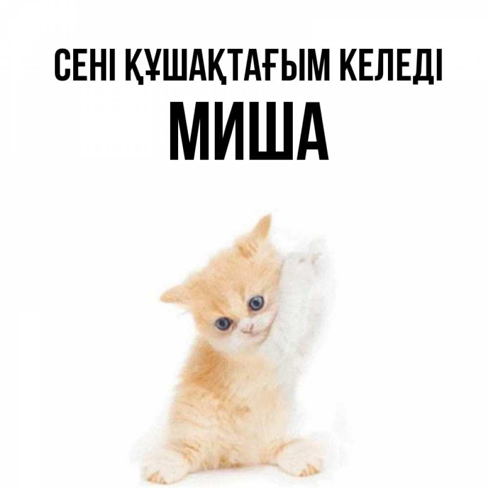 Күн сайын ашық хат с именем, Миша сені құшақтағым келеді я хочу очень скорее обнимаешек Онлайн тегін жүктеп алу тілектері бар керемет карта 