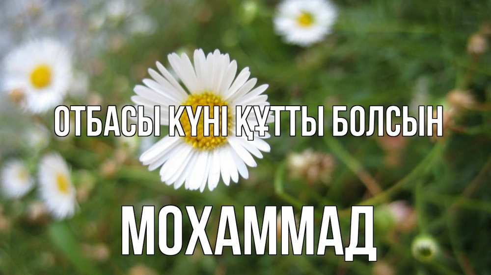 Күн сайын ашық хат с именем, Мохаммад отбасы күні құтты болсын с днем семьи Онлайн тегін жүктеп алу тілектері бар керемет карта 