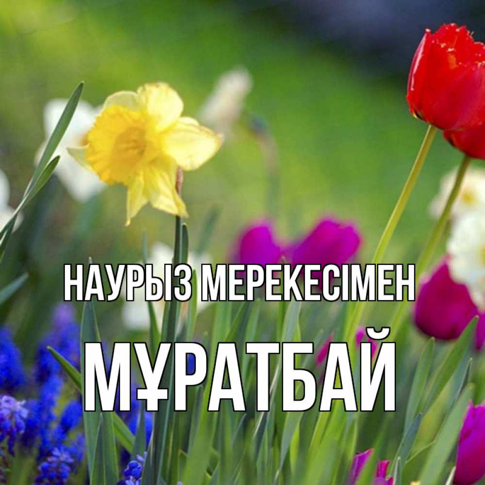 Күн сайын ашық хат с именем, Мұратбай Наурыз мерекесімен праздник весны наурыз 3 Онлайн тегін жүктеп алу тілектері бар керемет карта 