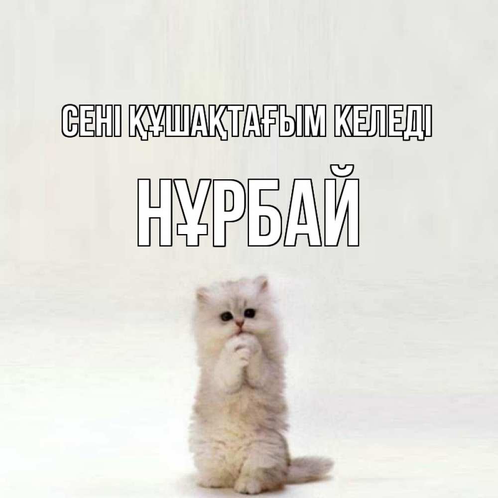 Күн сайын ашық хат с именем, НҰРБАЙ сені құшақтағым келеді открытки с креативными подписями Онлайн тегін жүктеп алу тілектері бар керемет карта 