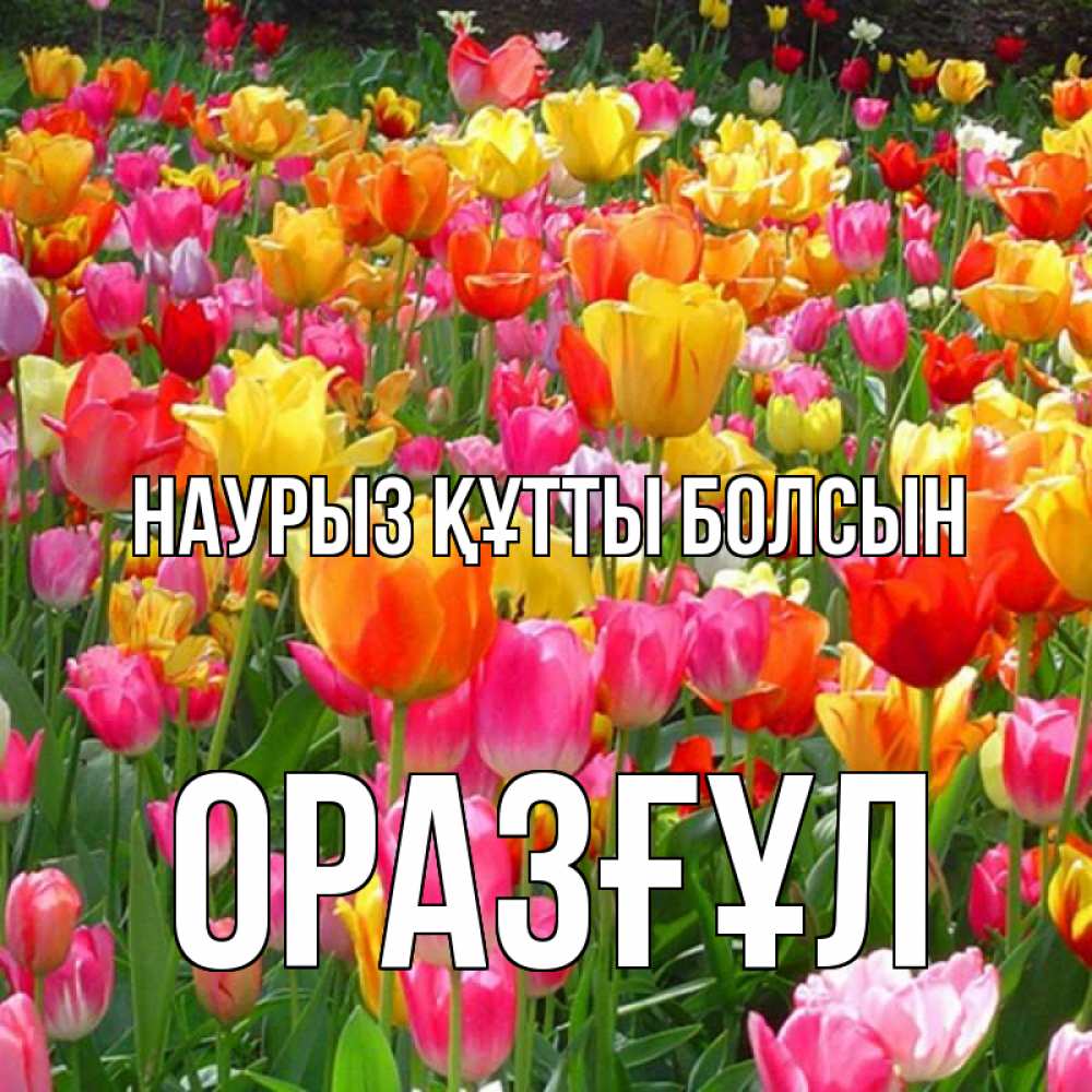 Күн сайын ашық хат с именем, ОРАЗҒҰЛ Наурыз құтты болсын на наурыз  ура ура Онлайн тегін жүктеп алу тілектері бар керемет карта 