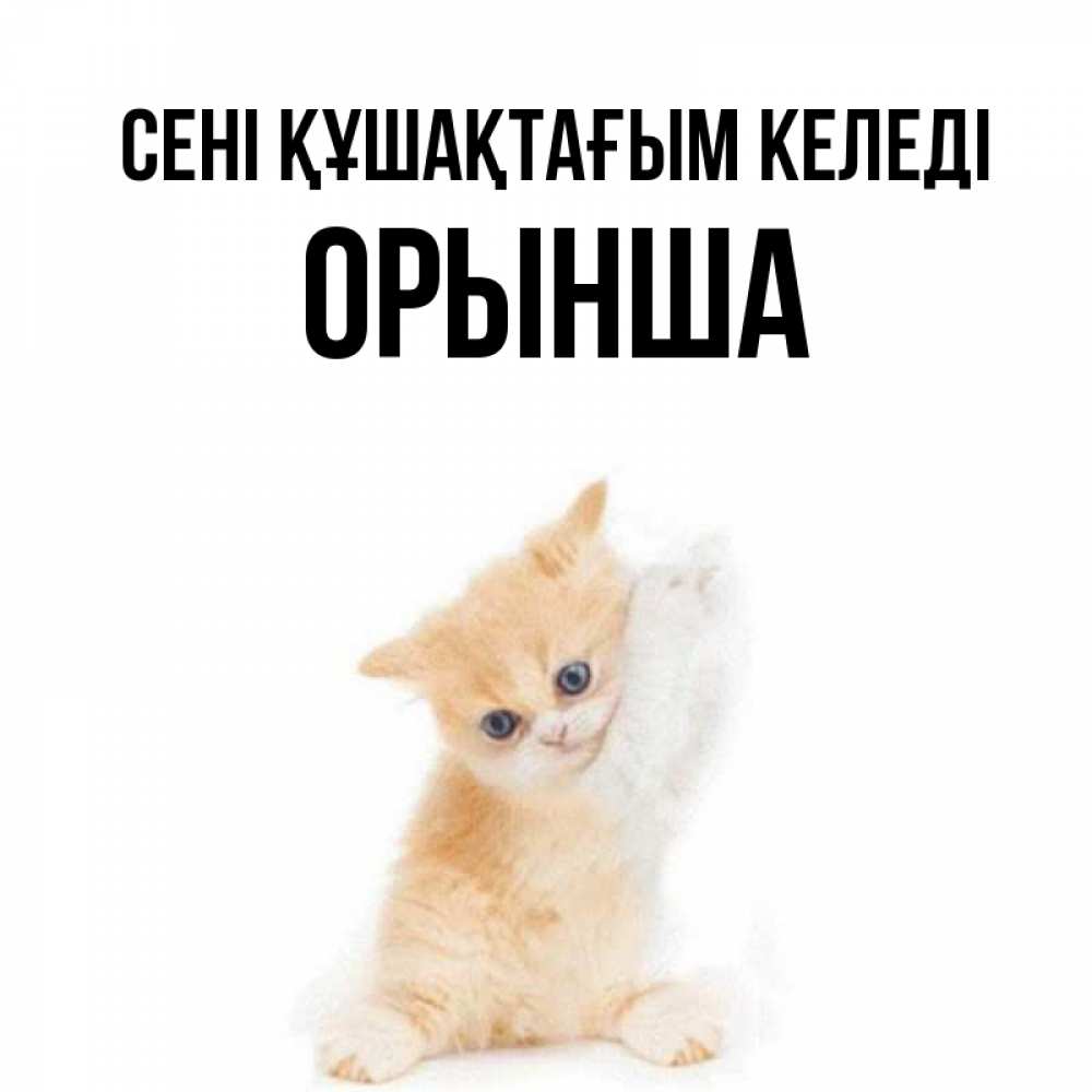 Күн сайын ашық хат с именем, ОРЫНША сені құшақтағым келеді я хочу очень скорее обнимаешек Онлайн тегін жүктеп алу тілектері бар керемет карта 