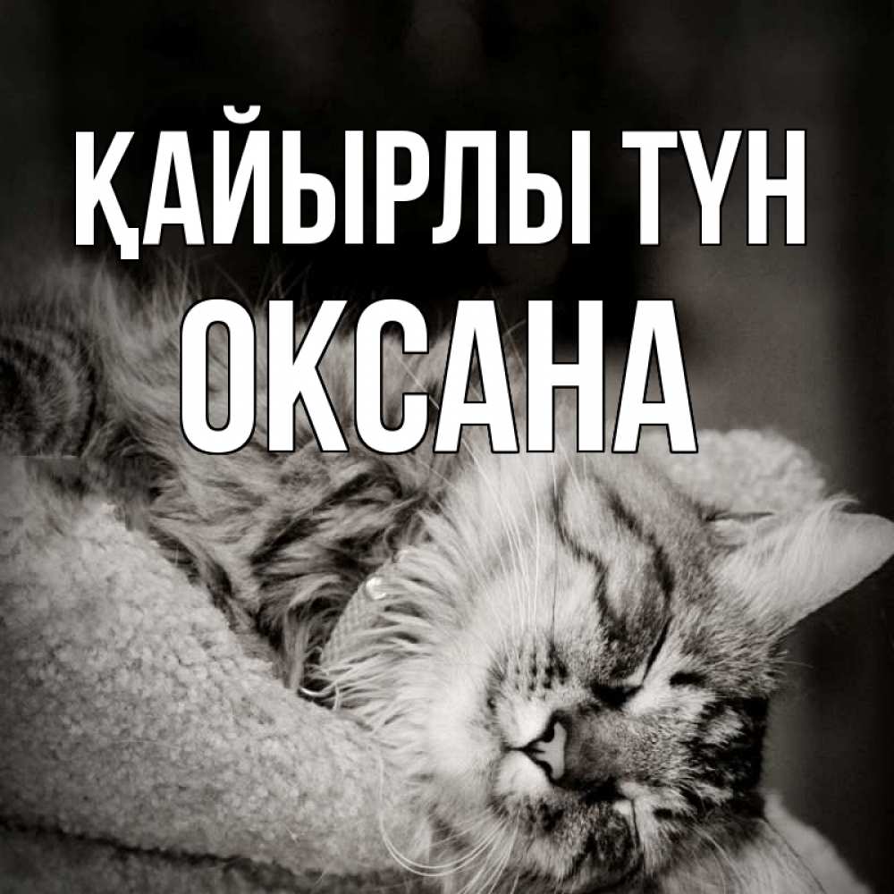 Күн сайын ашық хат с именем, Оксана Қайырлы түн котярик пушистый Онлайн тегін жүктеп алу тілектері бар керемет карта 