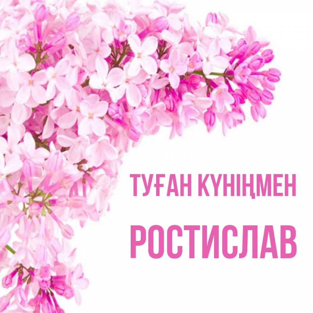 Күн сайын ашық хат с именем, Ростислав Туған күніңмен Сирень на белом фоне Онлайн тегін жүктеп алу тілектері бар керемет карта 