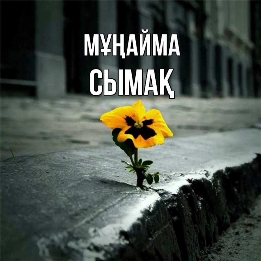 Күн сайын ашық хат с именем, СЫМАҚ Мұңайма не сдавайся Онлайн тегін жүктеп алу тілектері бар керемет карта 