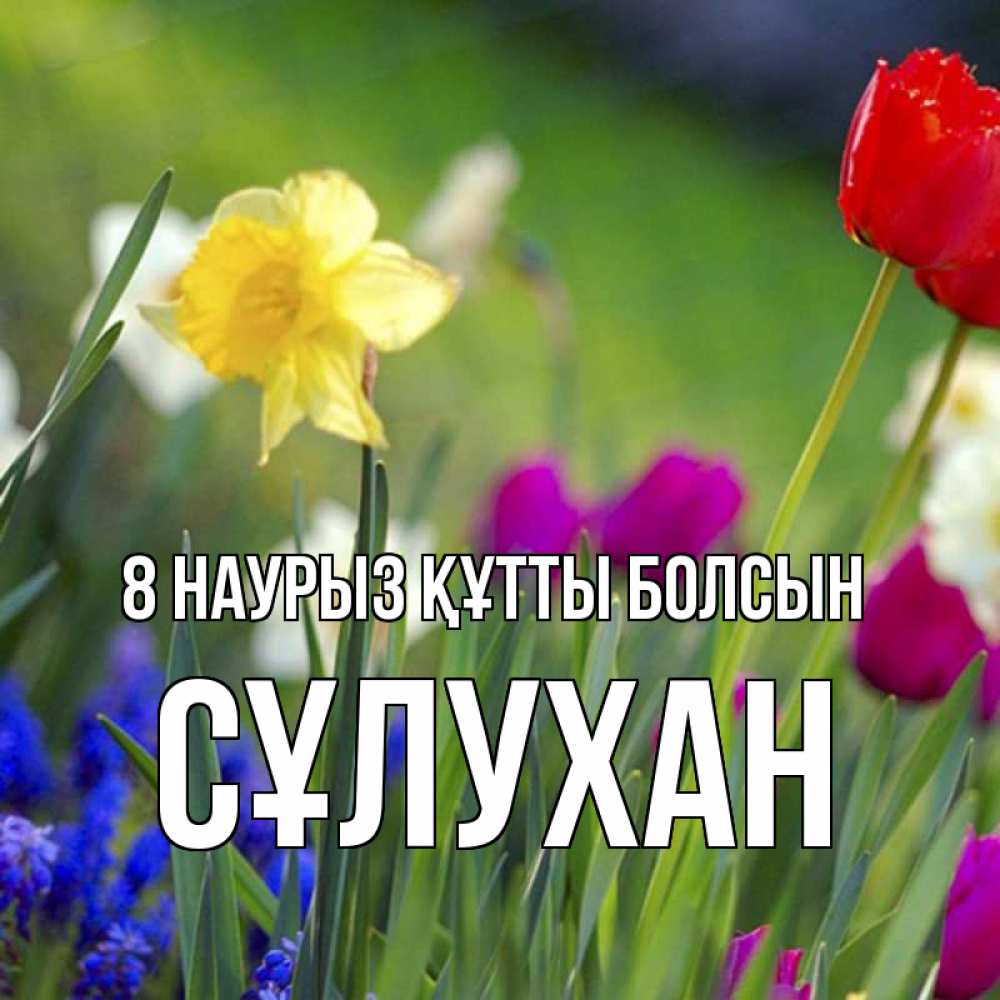 Күн сайын ашық хат с именем, СҰЛУХАН 8 наурыз құтты болсын международный женский день 3 Онлайн тегін жүктеп алу тілектері бар керемет карта 