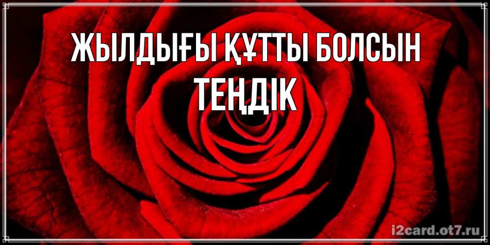 Күн сайын ашық хат с именем, ТЕҢДІК Жылдығы құтты болсын алая роза Онлайн тегін жүктеп алу тілектері бар керемет карта 